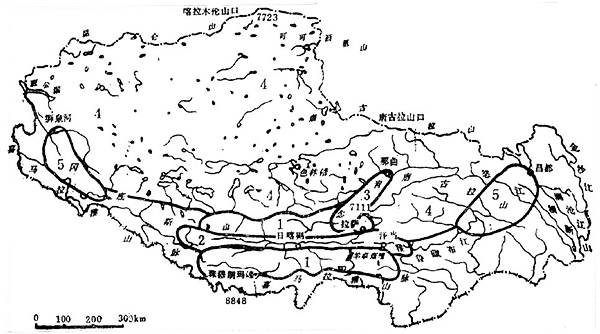 西藏自治区地热资源分布规律-地热开发利用-地大热能